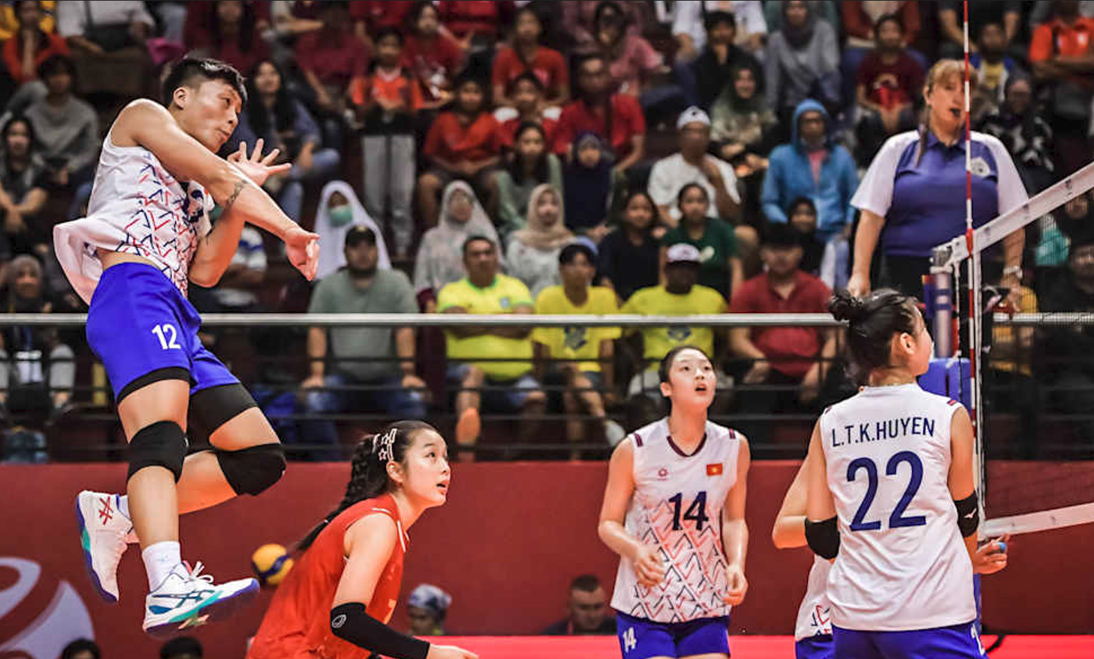 国际排联被, 阵波多黎各