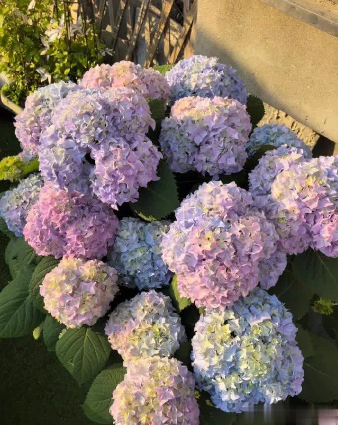 接吸收, 阳的位置, 一部分