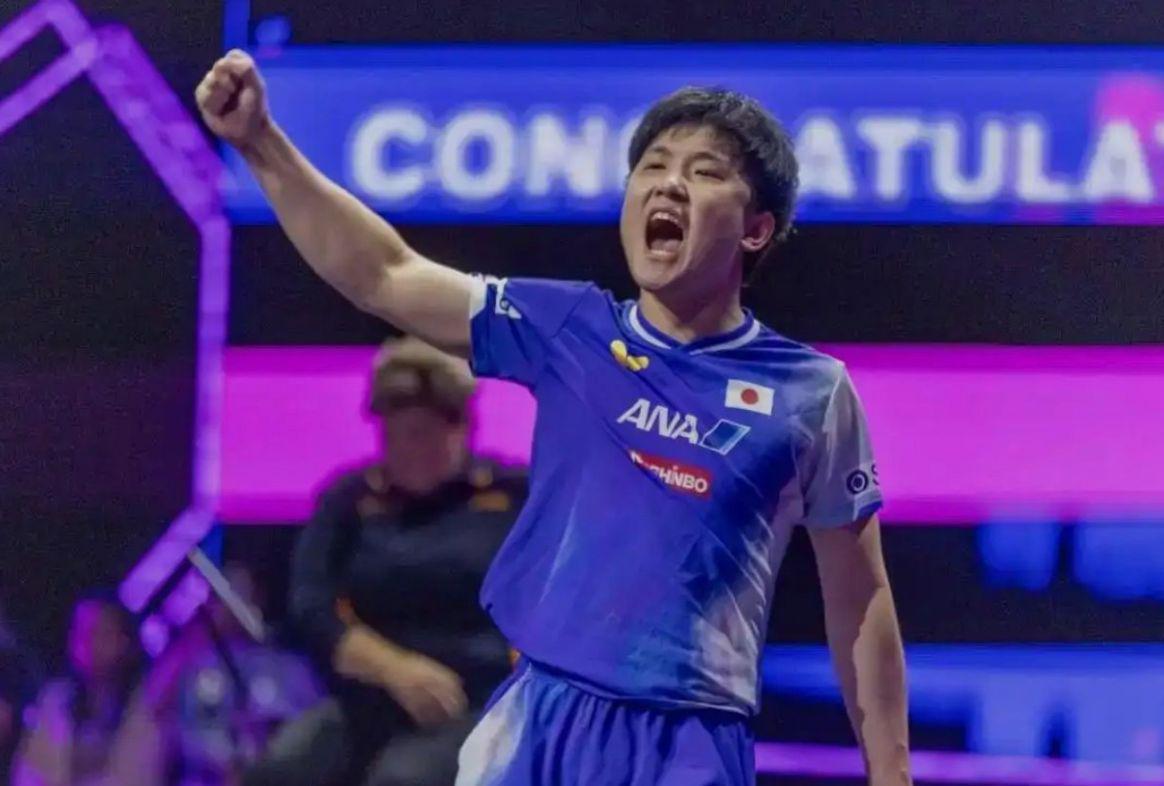 对张本智和, 指出